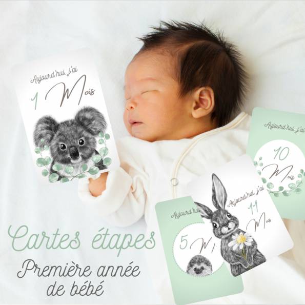 12 Cartes étapes - La première année de bébé - Thème Dessin Animaux Bleu Vert