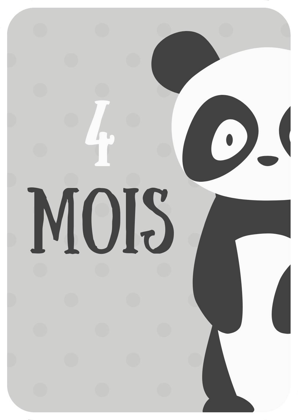 Carte Etape 4 Mois Panda Pour Immortaliser Les Premiers Mois De Bebe